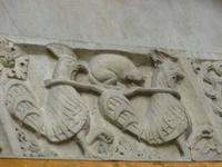 Modena, Domrelief