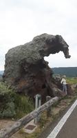 Elefantenfelsen bei Castelsardo