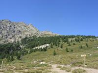 Tag 10 - 4 - Col de Vergio 1477 m (3)