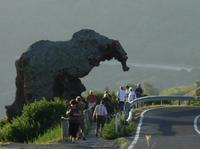 Tag 8 - 3 - Rocca dell'Elefante (1)