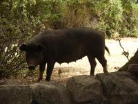 Tag 3 - 8 - Hmmm, unser Essen ... (1)