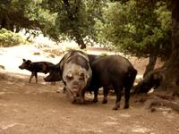 Tag 3 - 8 - Hmmm, unser Essen ... (3)