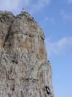 Tag 6 - 2 - Bootsfahrt zum Capo Caccia (6)