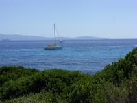 Tag 9 - 3 - Spaziergang gegenüber den Iles Sanguinaires (2)