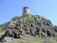 Tag 9 - 3 - Spaziergang gegenüber den Iles Sanguinaires (7)