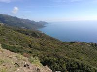 Steilküste vor Alghero