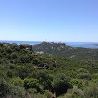 der schlafende Löwe