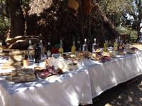 zu Gast bei den Hirten