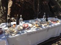 zu Gast bei den Hirten