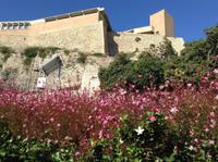 zu Fuß zur Oberstadt