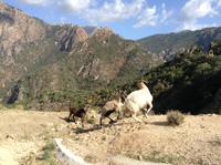 Fahrt zur Spelunkaschlucht