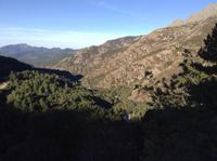 in den Bergen Korsikas