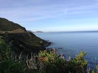 an der Nordküste Korsikas