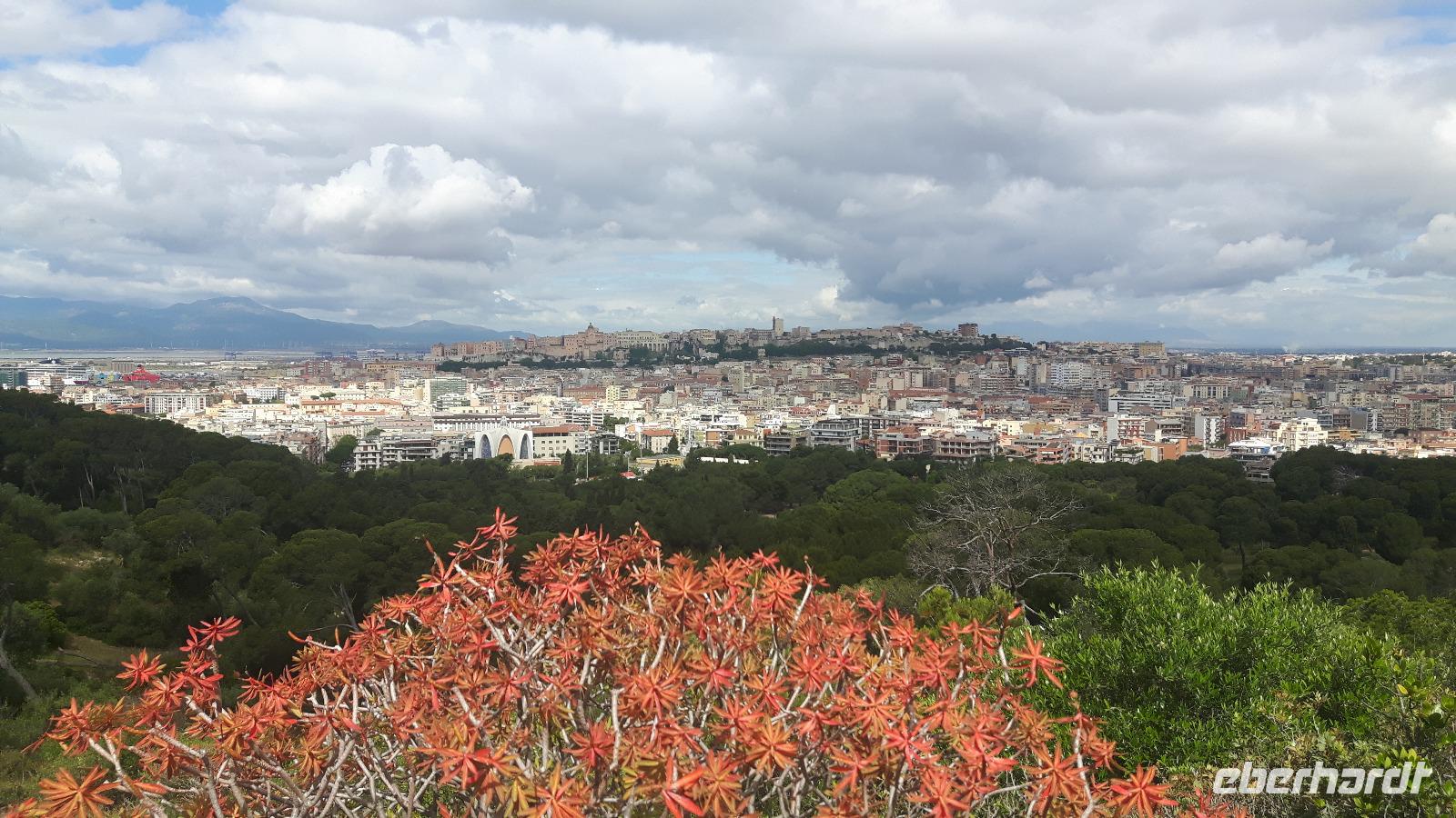 Cagliari (Ausblick vom Monte Urpinu zur Altstadt)