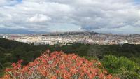 Cagliari (Ausblick vom Monte Urpinu zur Altstadt)