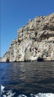 Alghero (Schifffahrt zur Neptungrotte)