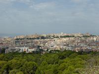 Cagliari 