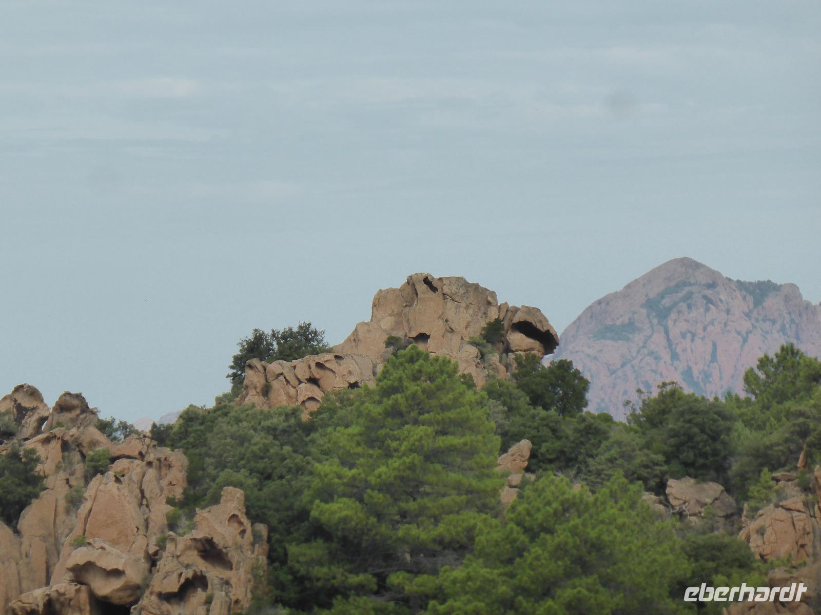 Calanche - Schildkröte