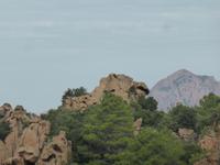 Calanche - Schildkröte