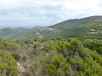 Cap Corse 