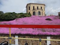 Alghero. Villa im Süden