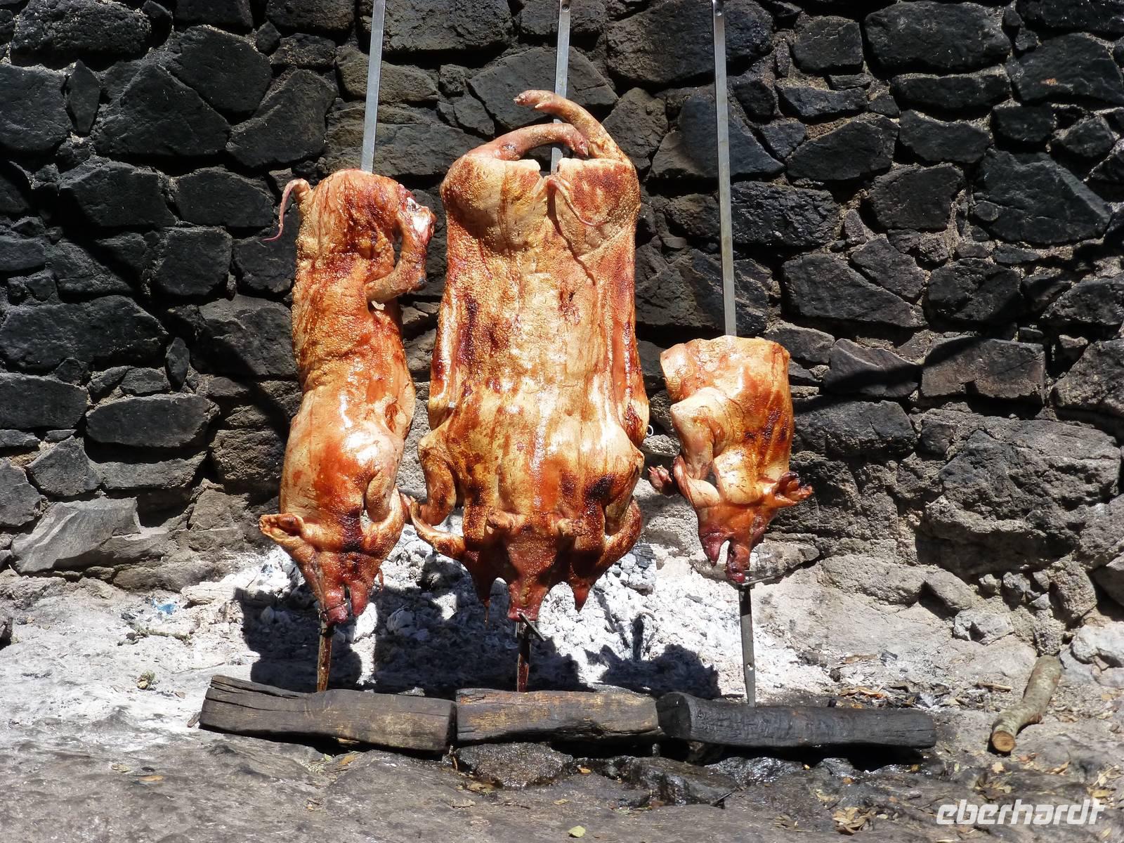 Orgosolo - unser Spanferkel beim Hirtenessen