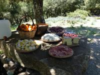 Orgosolo - Vorspeisen beim Hirtenessen