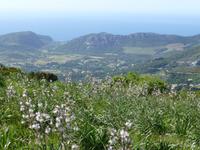 Blick ins Patrimonio 1