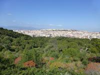 Cagliari - Panorama zur Altstadt