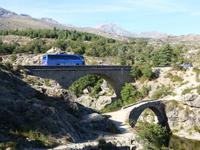 Niolo - Bus über Goloschlucht