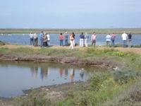 Cagliari - Fotostopp bei den Flamingos