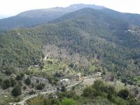 Morosagli in der Castagnicca