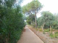 Wanderung zur Nuraghe Palmavera