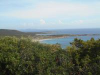 Küste zwischen Bonifacio und Roccapina