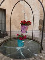 Alghero - Blumenampel