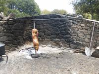 Orgosolo - Hirtenessen Porceddu - Spanferkel