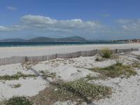 Alghero - Strand