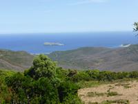 Blick zur Insel Giraglia - Cap Corse 