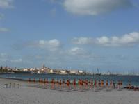 Alghero - Blick zur Altstadt