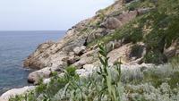 Balagne (Küste bei Calvi)