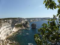 Bonifacio 