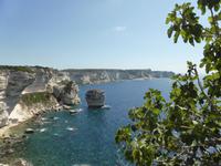 Bonifacio 