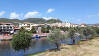 Bosa
