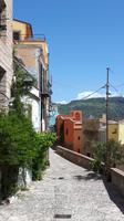 Bosa