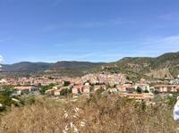 Bosa