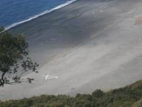 Botschaften am Schwarzen Strand von Nonza