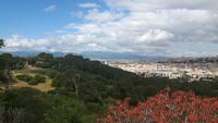 Cagliari (Ausblick vom Monte Urpinu)
