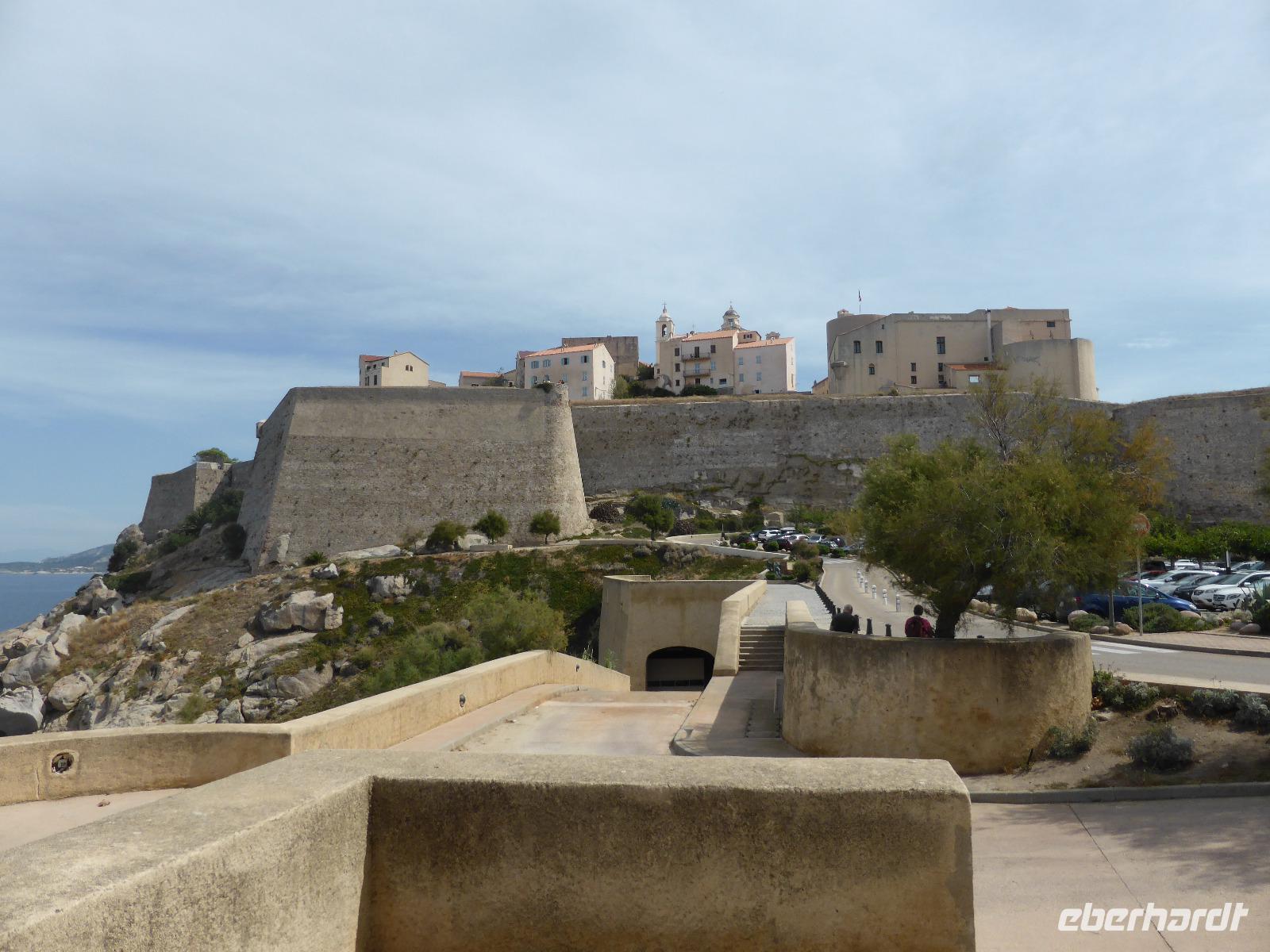 Calvi