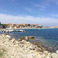 Calvi