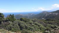 Cap Corse